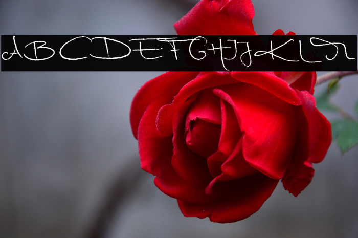 MarleenScriptreduced-Normal Example 3