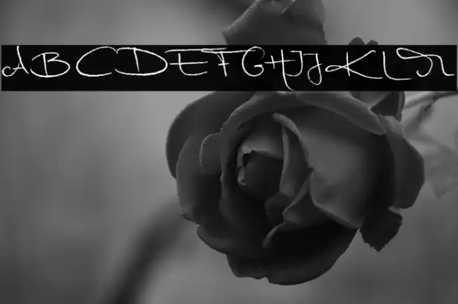 MarleenScriptreduced-Normal Font examples