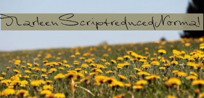 MarleenScriptreduced-Normal Font examples