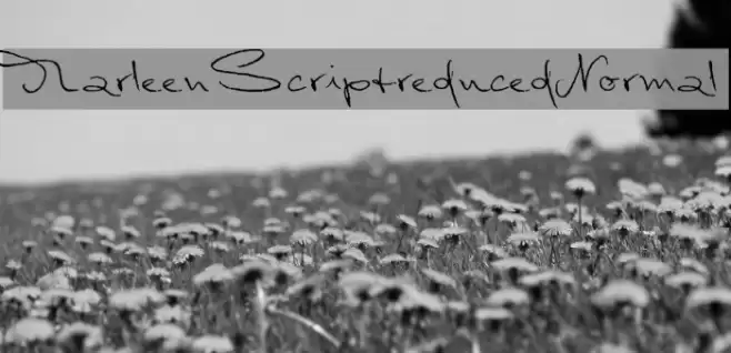 MarleenScriptreduced-Normal Font examples