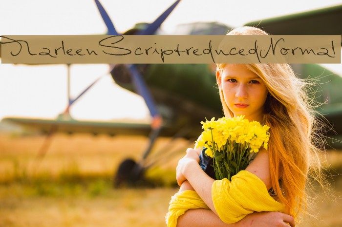 MarleenScriptreduced-Normal Font examples