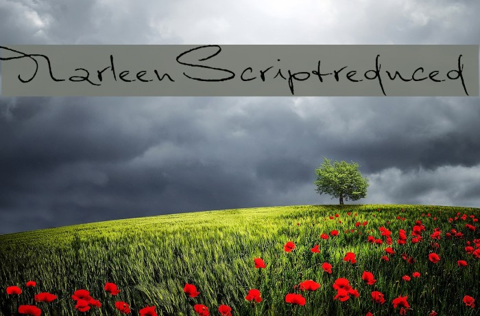 MarleenScriptreduced Font examples