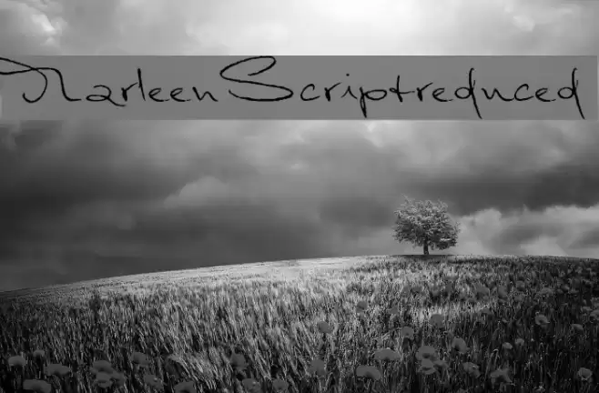 MarleenScriptreduced Font examples