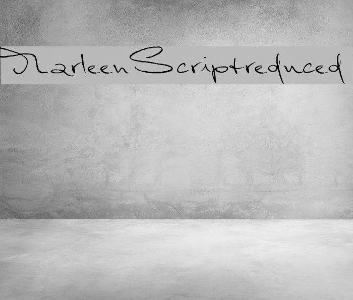 MarleenScriptreduced Font examples