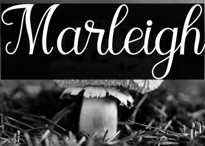 Marleigh Example 1