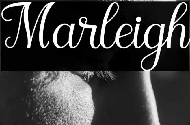 Marleigh Example 3