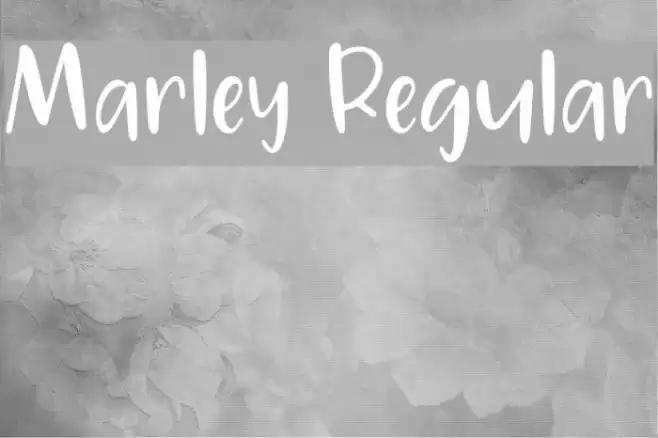 Marley Regular Font examples