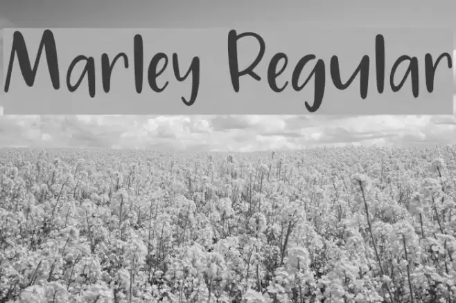 Marley Regular Font examples