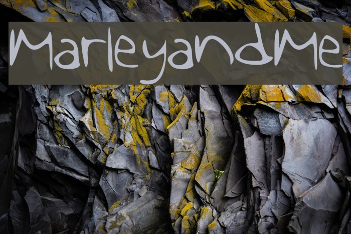 MarleyandMe Font examples