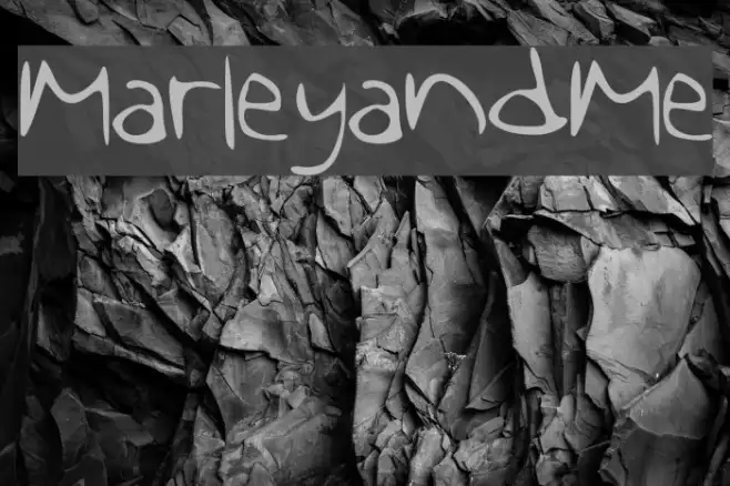 MarleyandMe Example 1