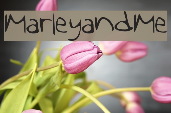 MarleyandMe Font examples