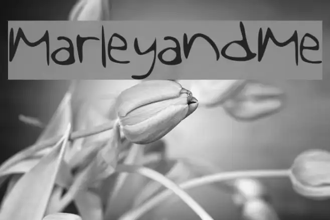 MarleyandMe Example 3