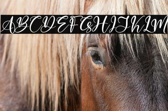 Marliana Alisha Italic Example 1