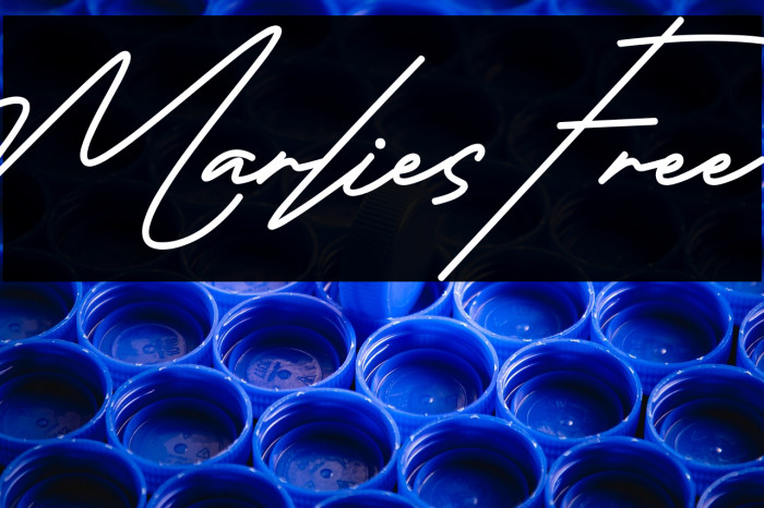 Marlies Free Example 1