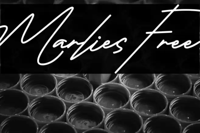 Marlies Free Font examples