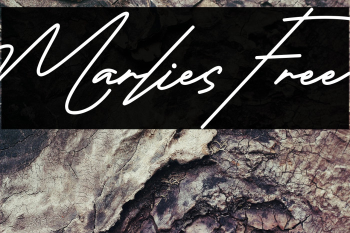 Marlies Free Example 3