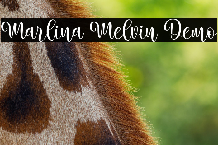 Marlina Melvin Demo Example 1