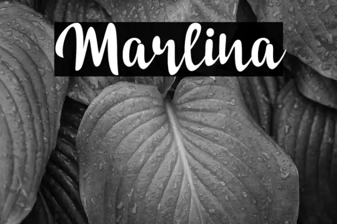 Marlina Example 2