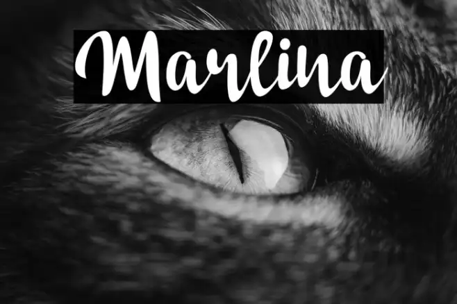 Marlina Example 3