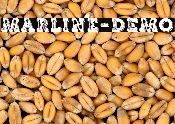 Marline-Demo Example 2