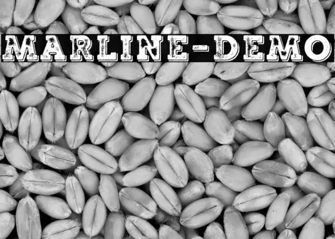 Marline-Demo Schriftart examples