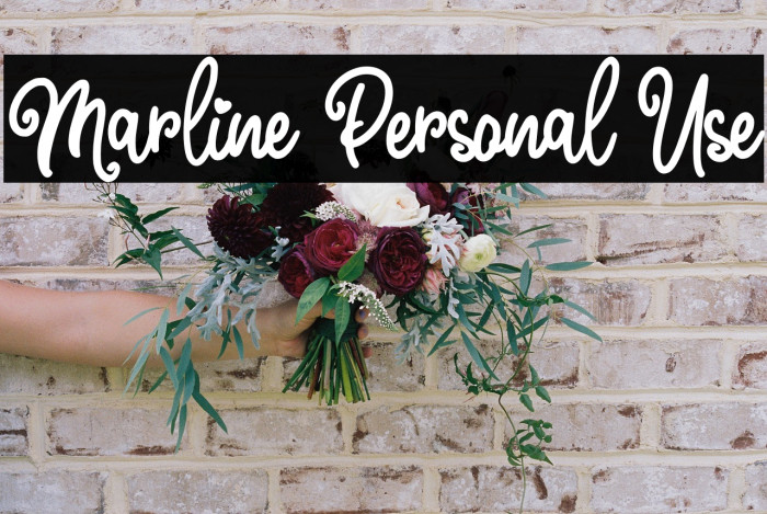 Marline Personal Use Example 1