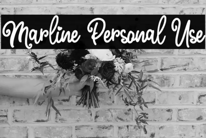 Marline Personal Use Font examples