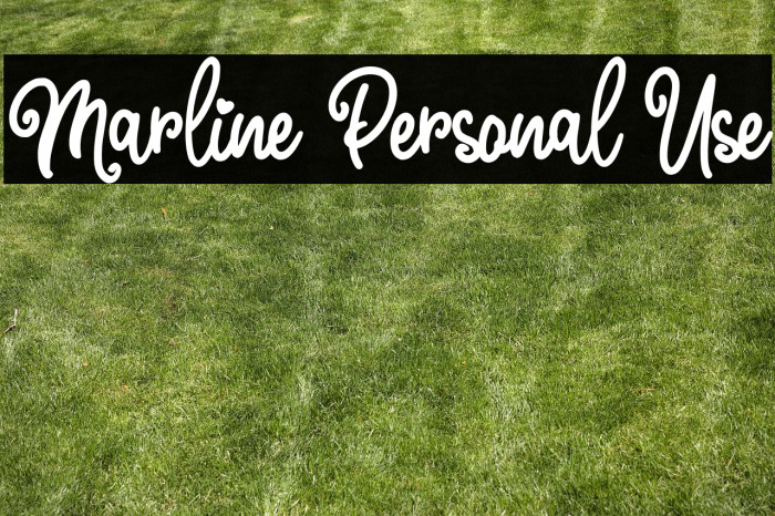 Marline Personal Use Example 2