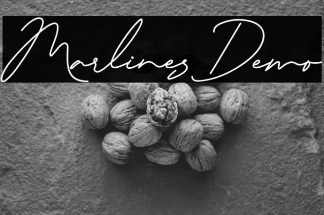 Marlines Demo 字体 examples