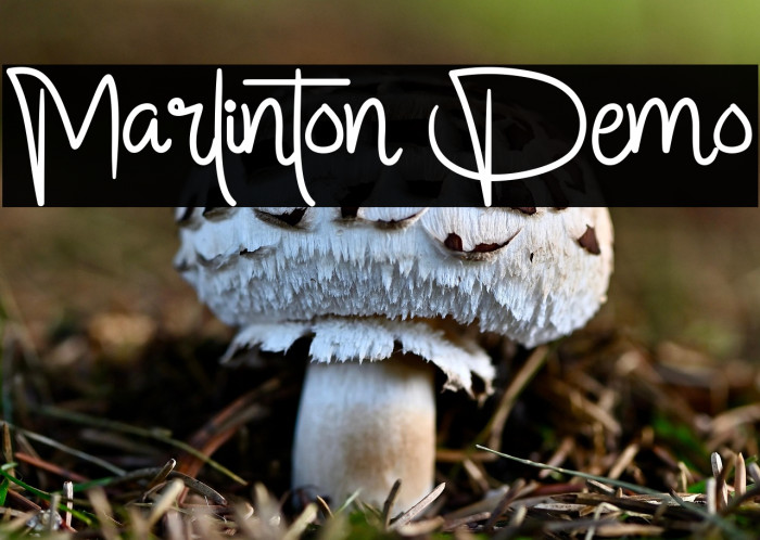 Marlinton Demo Example 1