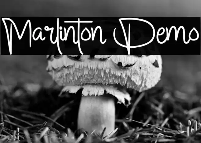 Marlinton Demo Font examples
