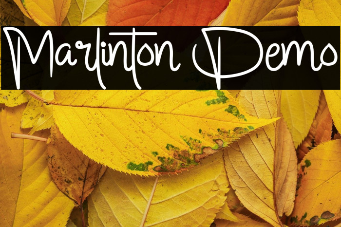 Marlinton Demo Example 3