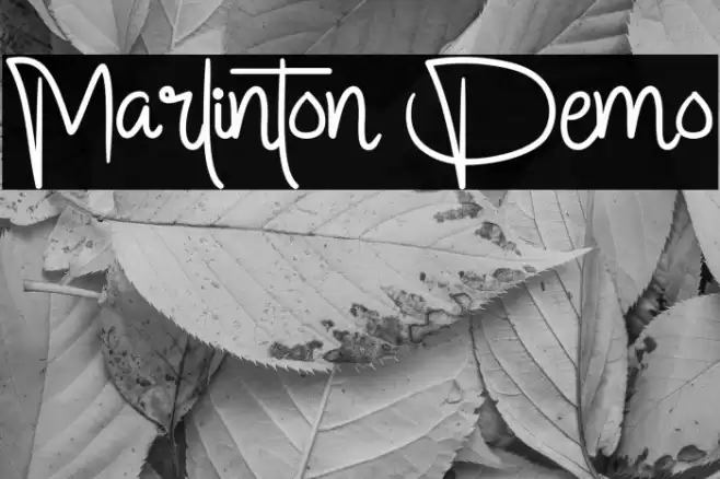 Marlinton Demo Font examples