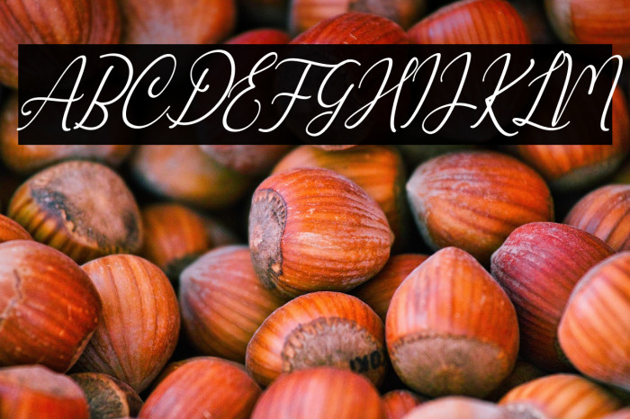 Marlyana Italic Example 2