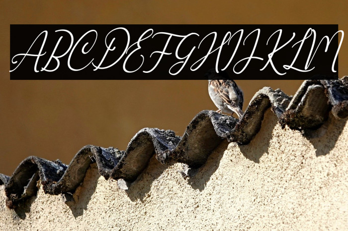 Marlyana Italic Example 3