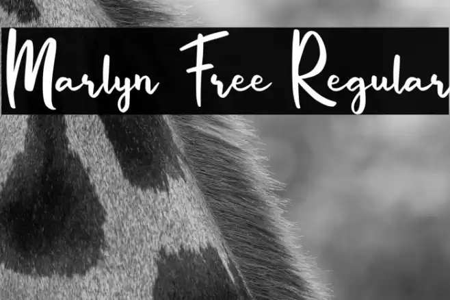 Marlyn Free Regular Font examples