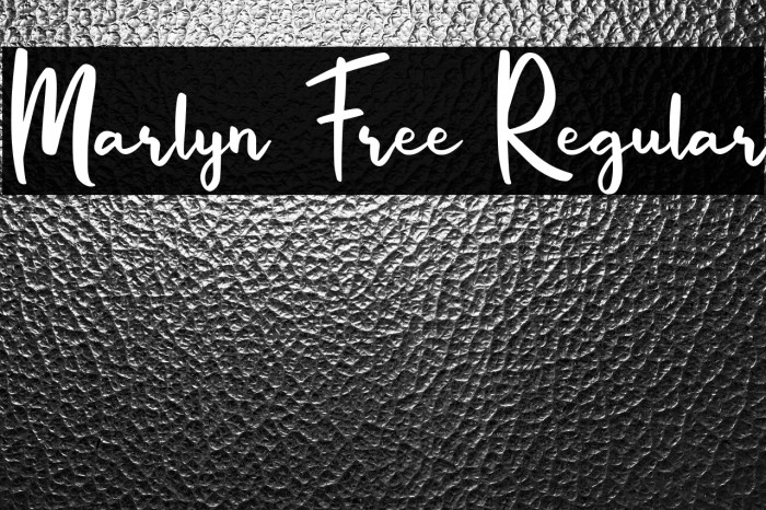Marlyn Free Regular Example 3