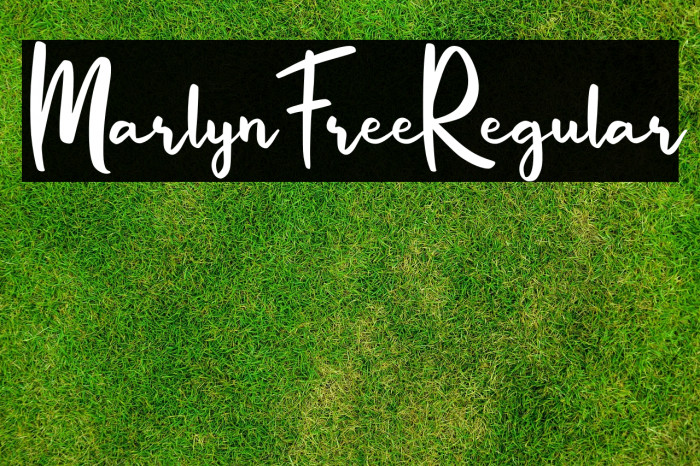 MarlynFree-Regular Example 1