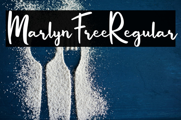 MarlynFree-Regular Example 3