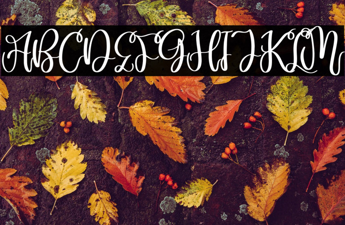 Marlyta Lovely Example 1