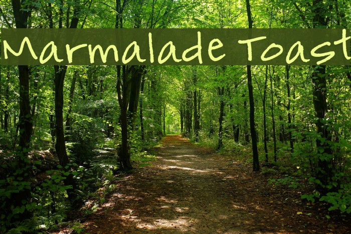 Marmalade Toast Font examples