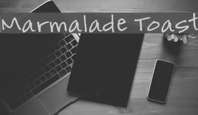 Marmalade Toast examples