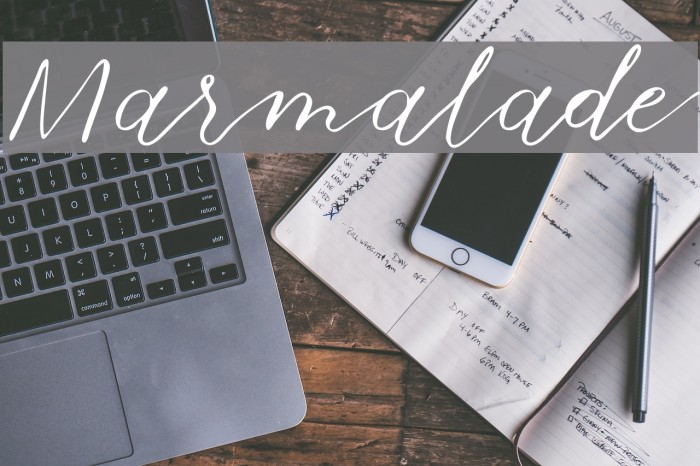 Marmalade Font examples