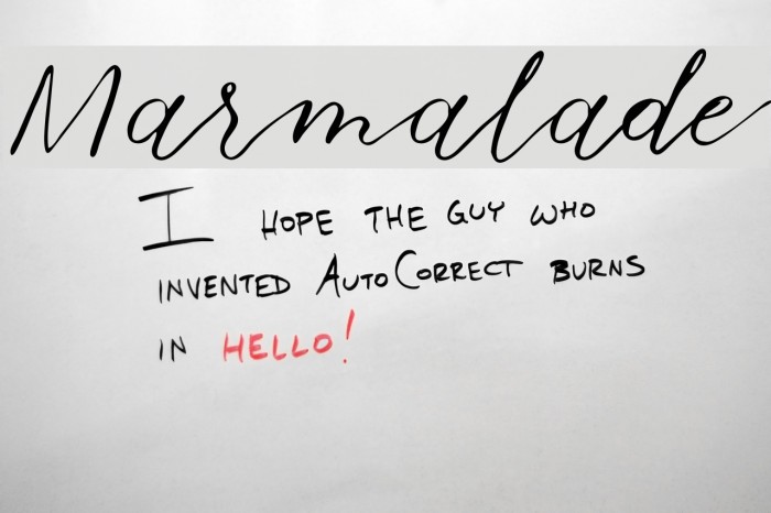 Marmalade Font examples
