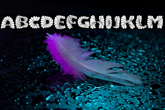 Marmelad Regular Example 2