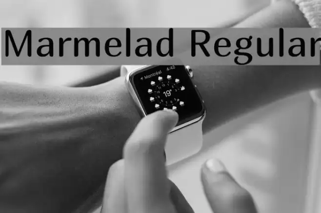 Marmelad Regular Example 1