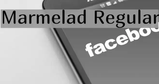 Marmelad Regular Example 2