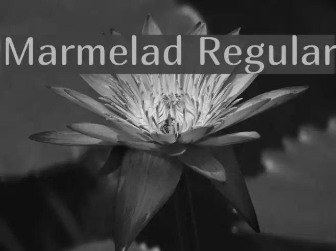 Marmelad Regular Example 3