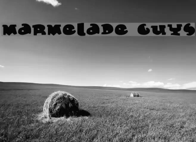 Marmelade Guys Schriftart examples