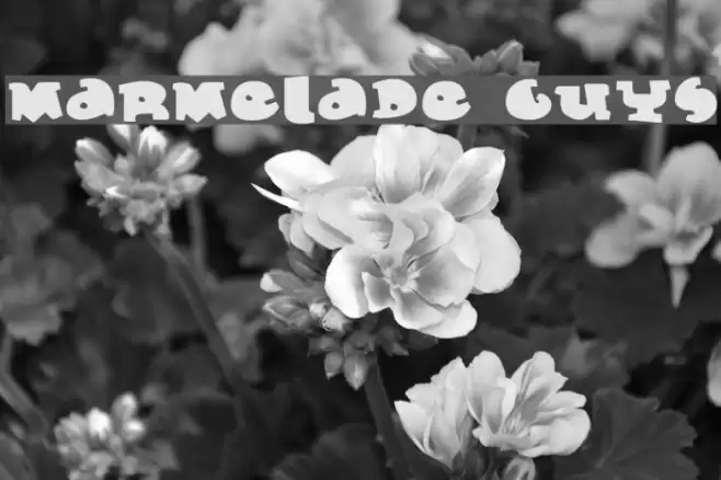 Marmelade Guys Schriftart examples